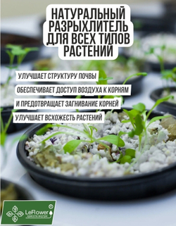 Агроперлит для растений и цветов 32 литра