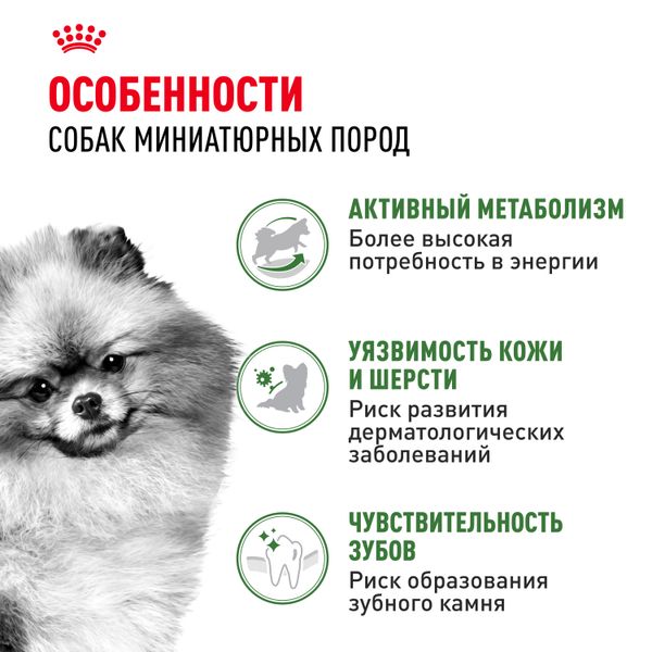 Сухой корм Royal Canin Mini Indoor Adult для взрослых собак мелких размеров, живущих в помещении