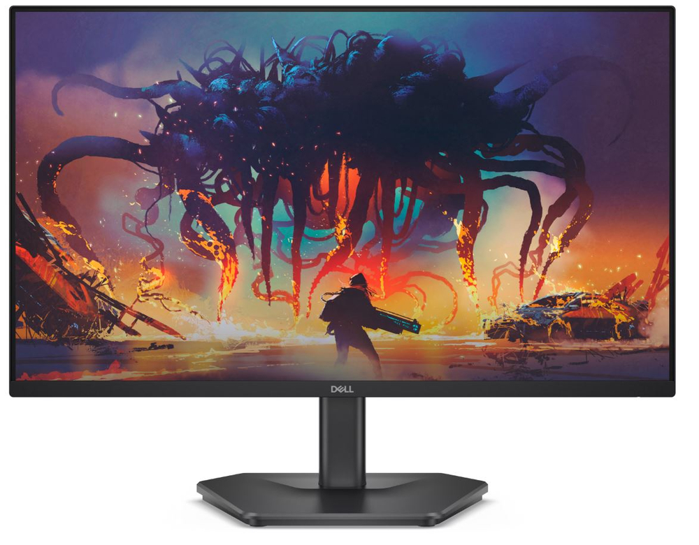 Монитор Dell SE2425HG (210-BSNR)