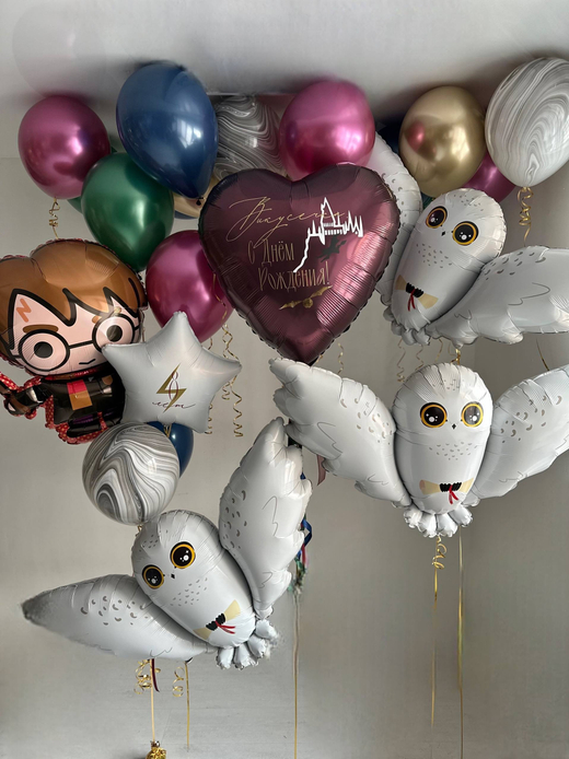 Воздушные гелиевые шарики с доставкой по Хабаровску Гарри Потер/Сова бордовый/темно синий №4903