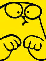 наклейка на авто Начинающий водитель