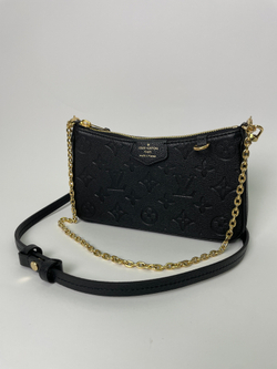 Сумка Louis Vuitton Easy Pouch