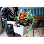 Контейнер для хранения boxxx, organic, 15 л, зеленый