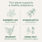 Traditional Medicinals, органический чай Pregnancy®, листья малины, без кофеина, 16 чайных пакетиков, 28 г (0,99 унции)