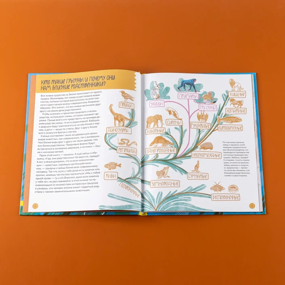 Вот так капибара!