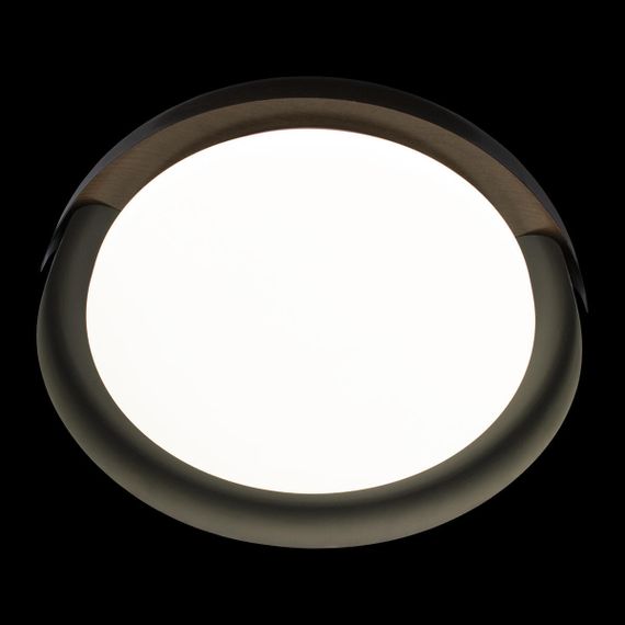 Потолочный светодиодный светильник Loft IT Coin 10198 Black