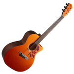 Акустическая гитара Gopherwood i232RC Amber Rush