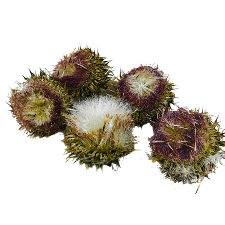 Чертополох Mystery Herbs 5 цветков 6-9 г