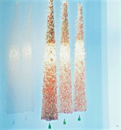 World Flower Artists 2 (Japan edition)