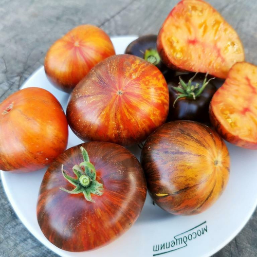 Помидоры Алисины Грёзы - Alices Dream