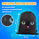 Папка на молнии с ручками А4 мешок для обуви 42х33 см пенал 20х10 см "Black cat" набор BRAUBERG