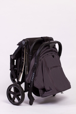 Прогулочная коляска Peppy Polo 2.0