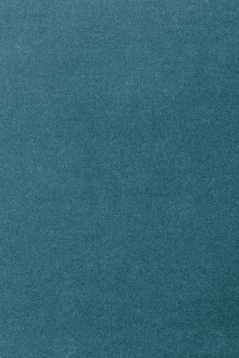 Ковровое покрытие AW The Velvet Collection Onione 74