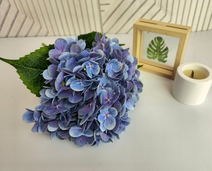 Гортензия 5 голов / Арт 2080