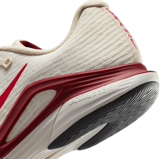 Кроссовки женские Nike Court Air Zoom Vapor 12 HC