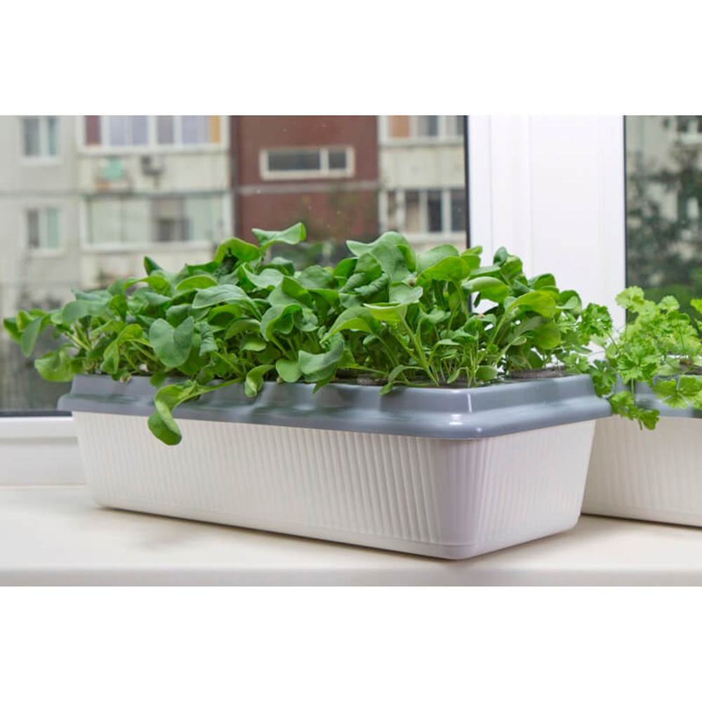 Чудо грядка