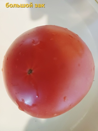 БОЛЬШОЙ ЗАК