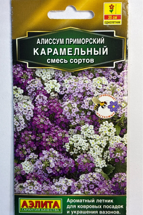 Алиссум Карамельный, смесь сортов СМЦ-674