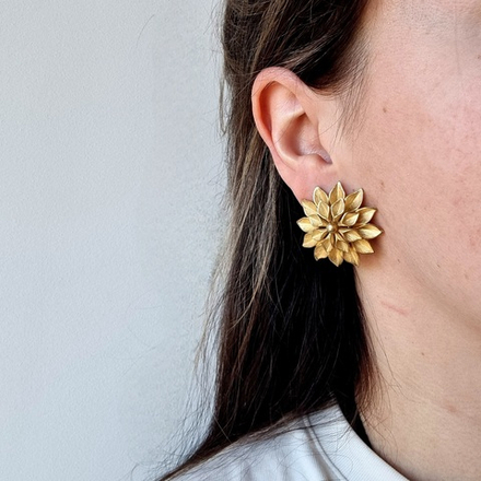 Клипсы F.O. астры