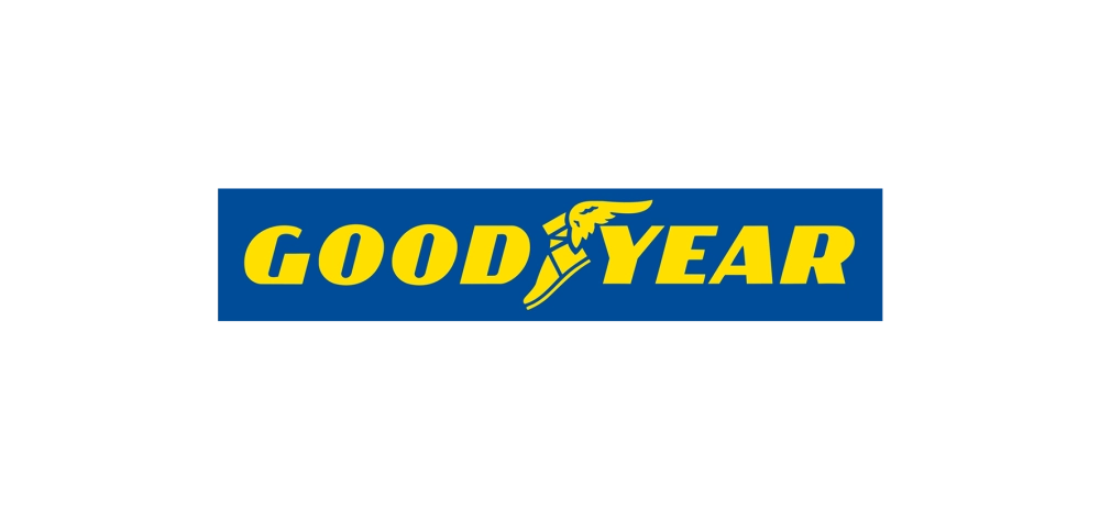 Летняя шина Goodyear Eagle Sport 2 (195/55 R16 91V)