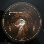 Porcupine Tree / Signify (2LP)
