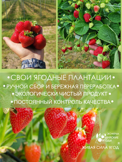 Томленые ягоды клубники, 280 г