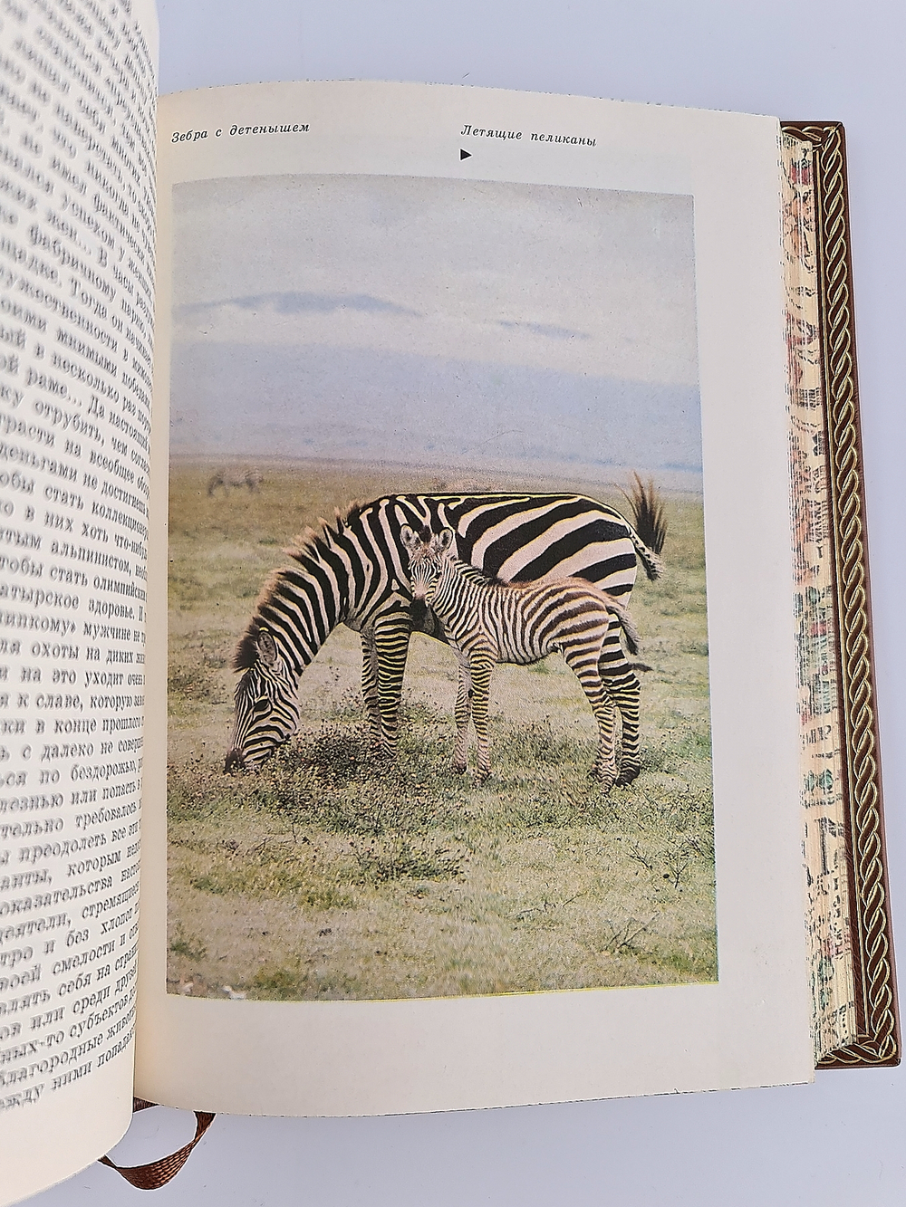 "Серенгети не должен умереть. В поисках фресок Тассилии". Бернгард и Михаэль Гржимек, Анри Лот - подарочное издание