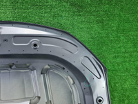 Капот Geely Tugella (2019-н.в.)