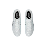 Кроссовки Asics DS LIGHT FG（ ）, 1103A098-101