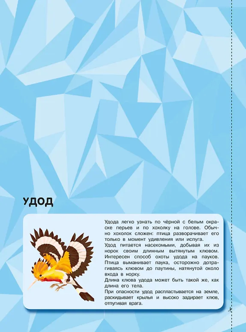 Птицы