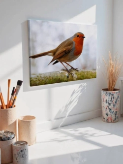 Картина на стену 40 X 50 Птица