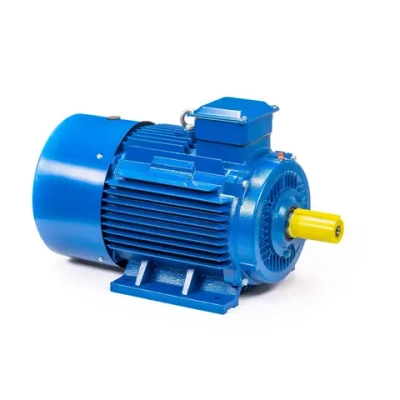 Электродвигатель 5АИ 200 L2 45/3000 IM1001