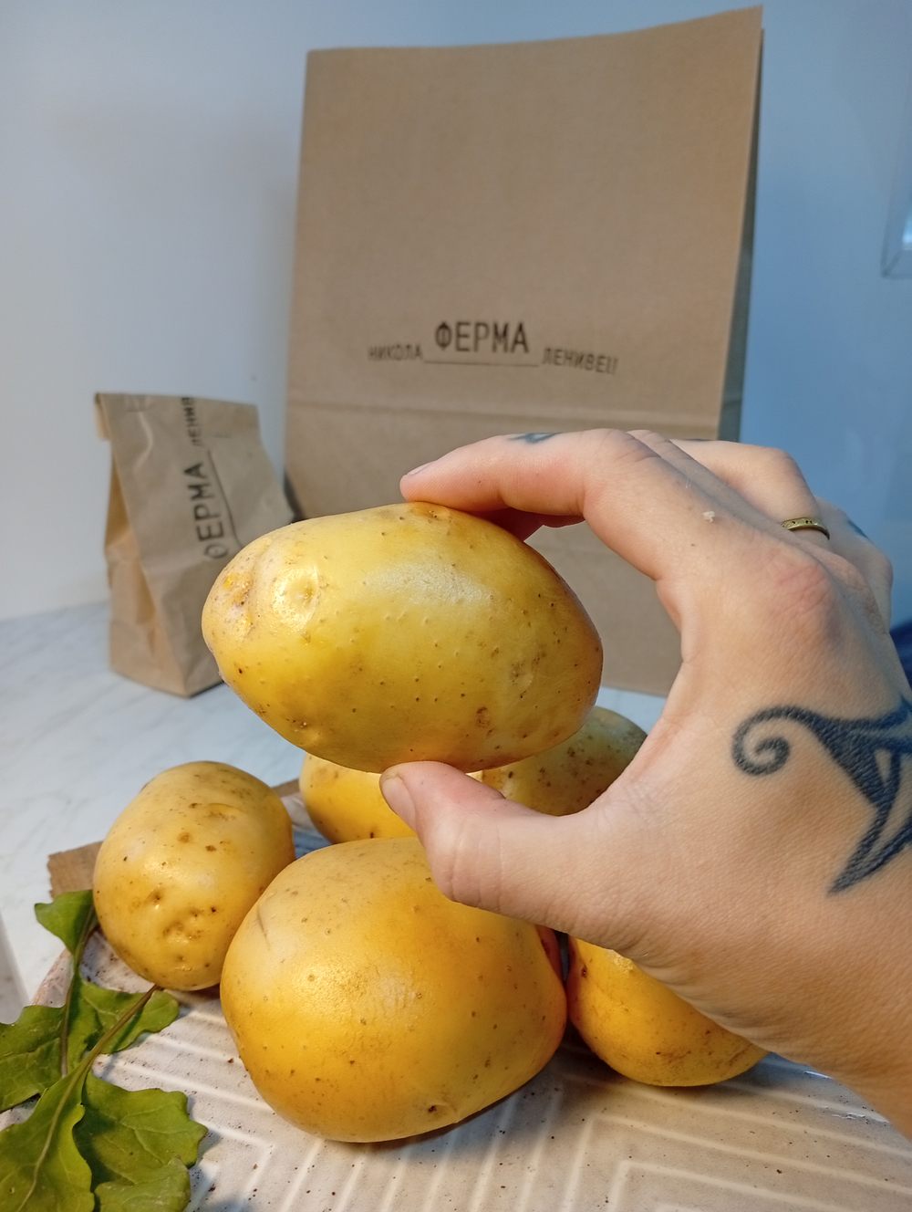 Картофель жёлтый Лисана