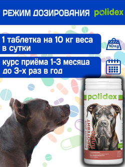Polidex Protevit Plus для собак, Кормовая добавка для увеличения мышечной массы, Полидек Протевит Плюс, 150 таб