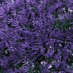 Искусственное растение шар «Самшит» цветы фиолетовые D-47см Ultramarine