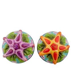 BS-105 Набор соль-перец «Морская звезда»