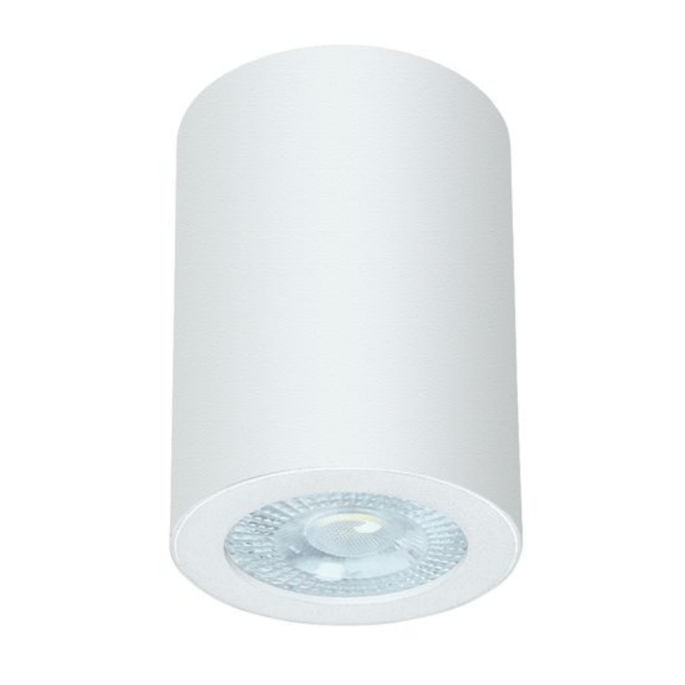 Накладной светильник Arte Lamp TINO A1468PL-1WH