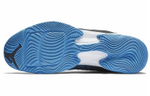 Кроссовки Jordan Air Jordan 29 Low Unc