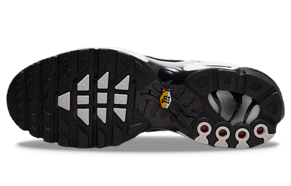Кроссовки Nike Air Max Plus