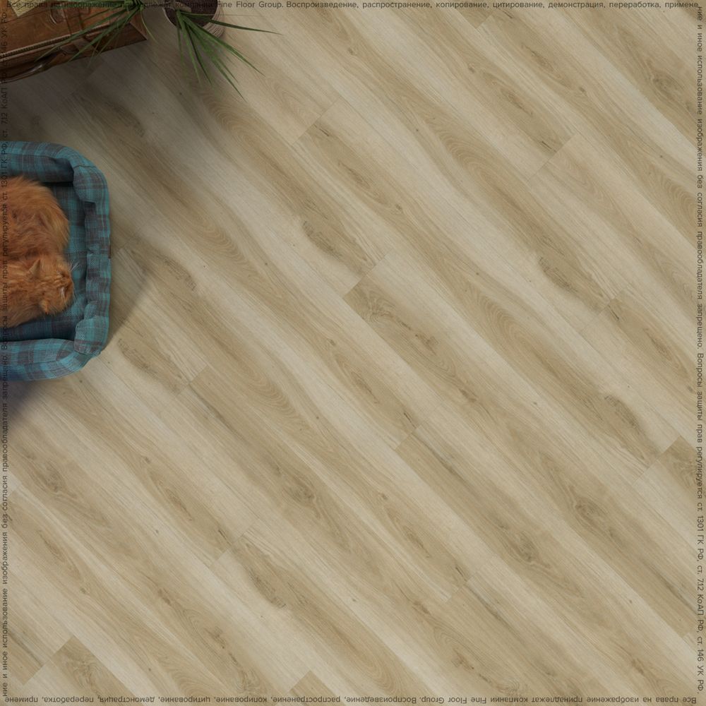 FF-1525 Дуб Пиньел