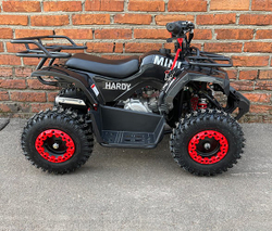 Квадроцикл MOWGLI Mini Hardy 4T
