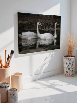 Картина на стену 40 X 50 Лебеди