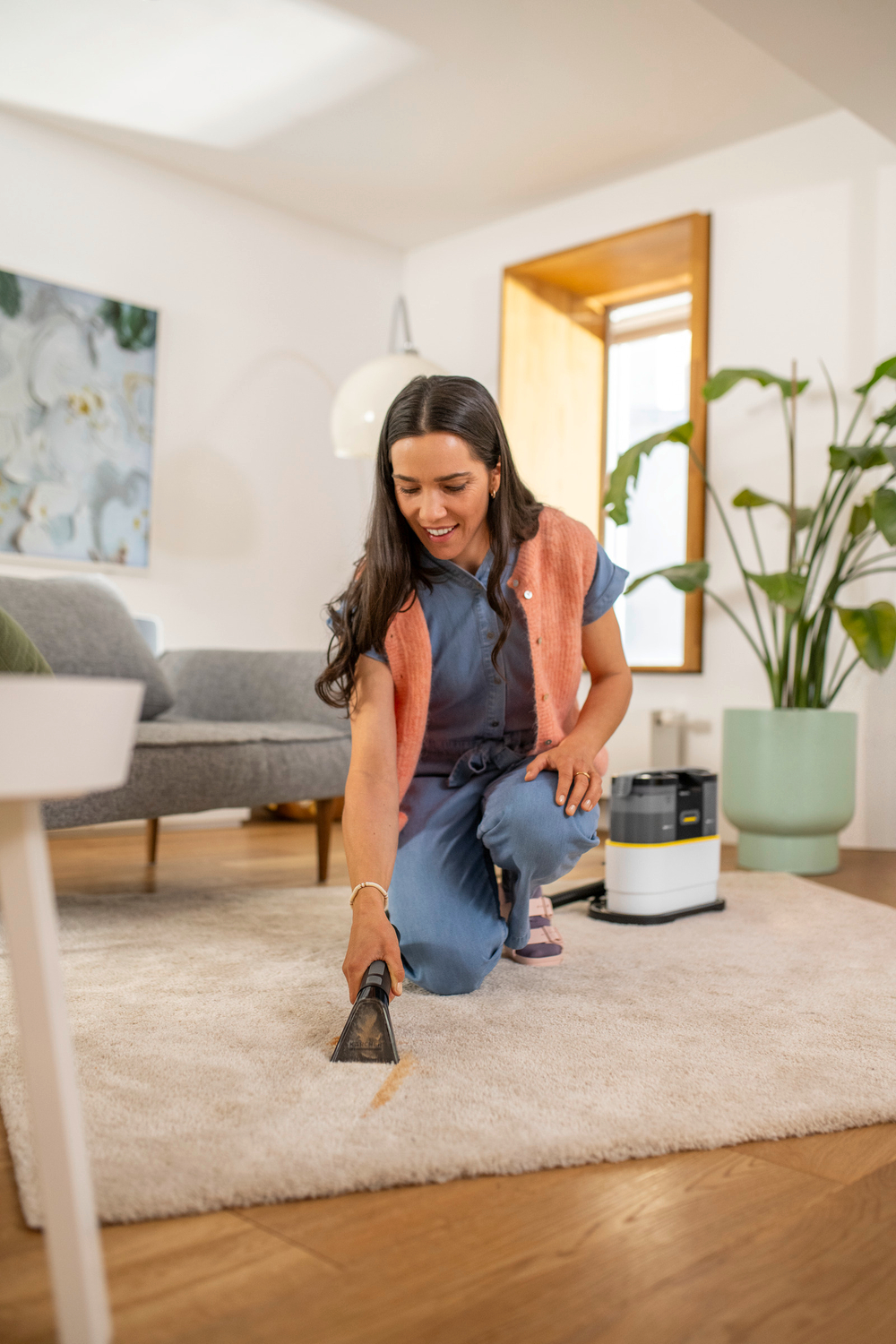 Моющий пылесос SE 2 Spot Care