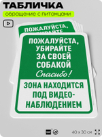 Табличка "Убирайте за своей собакой" на дверь и забор, для двора, дома, подъезда, 40х30 см, Silver Plane x Айдентика Технолоджи