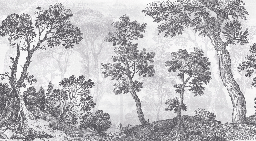 Коллекция ESTAMPE