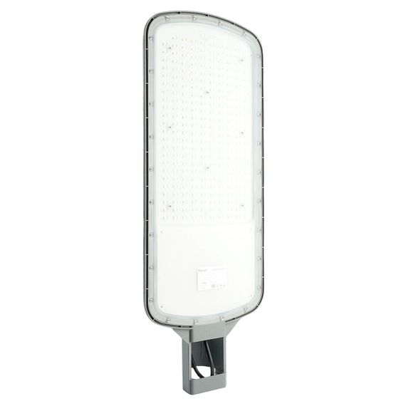 Уличный консольный светодиодный светильник Feron SP3079 51811