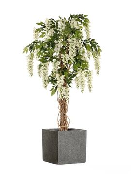 Комплект - Вистерия лиана белая 180 см в кашпо TREEZ Effectory - Stone