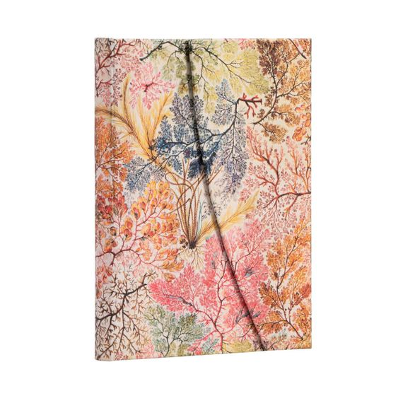 Bloknot \ Блокнот \ Notebook Paperblanks  William Kilburn/ Anemone I Midi I Lined