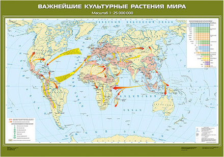 Карта "Важнейшие культурные растения мира"