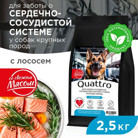 Корм сухой для взрослых собак крупных пород, премиум полнорационный комплекс, для заботы сердечно-сосудистой системы, с лососем, 2,5 кг, QUATTRO